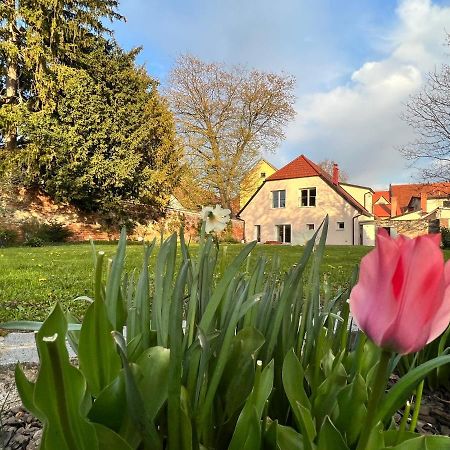 Om Yoga Center Lägenhet Slovenska Bistrica Exteriör bild
