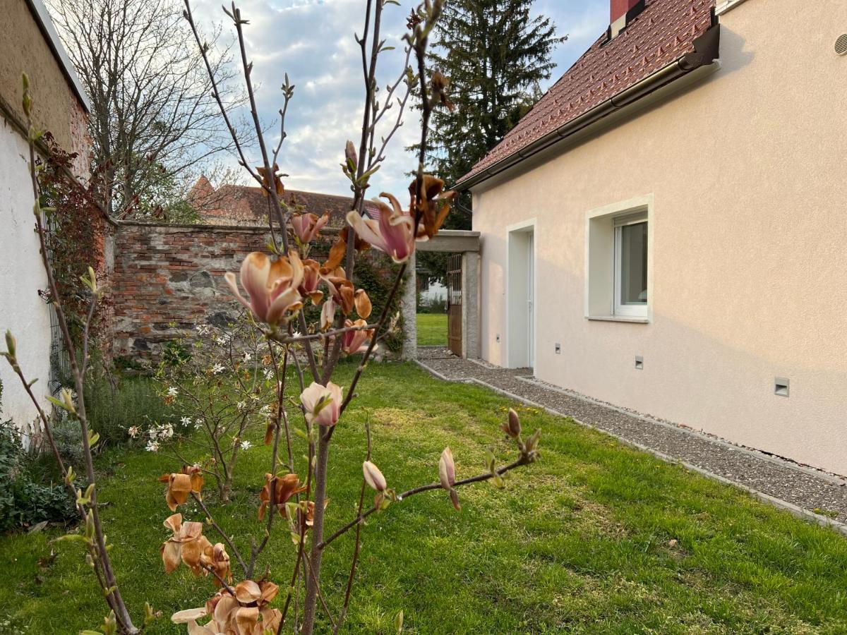 Om Yoga Center Lägenhet Slovenska Bistrica Exteriör bild