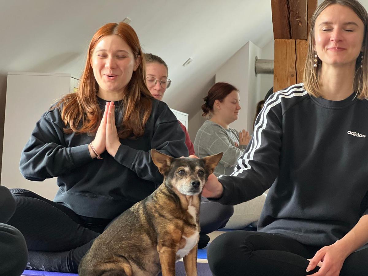 Om Yoga Center Lägenhet Slovenska Bistrica Exteriör bild